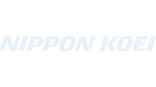 NIPPON KOEI CO.,LTD.